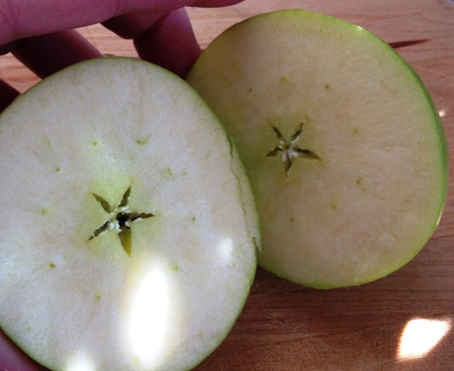 cut apple